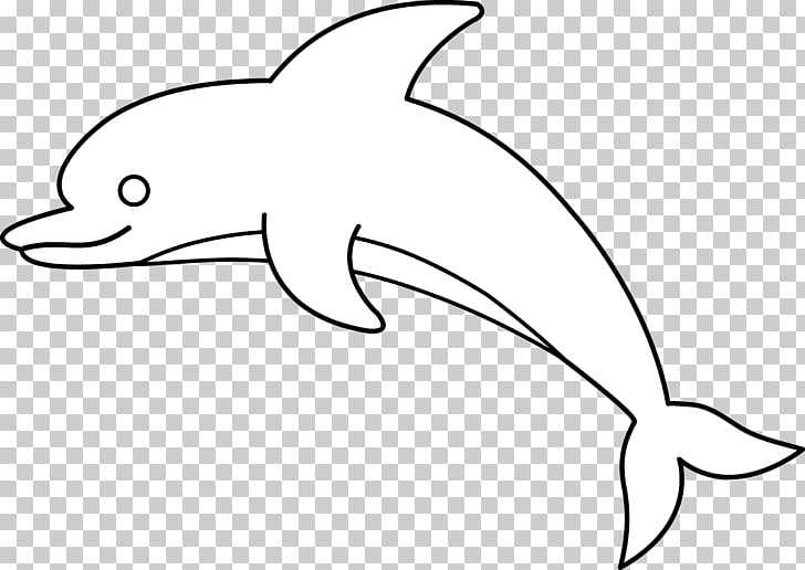 Common bottlenose dolphin , Dolphin PNG clipart.