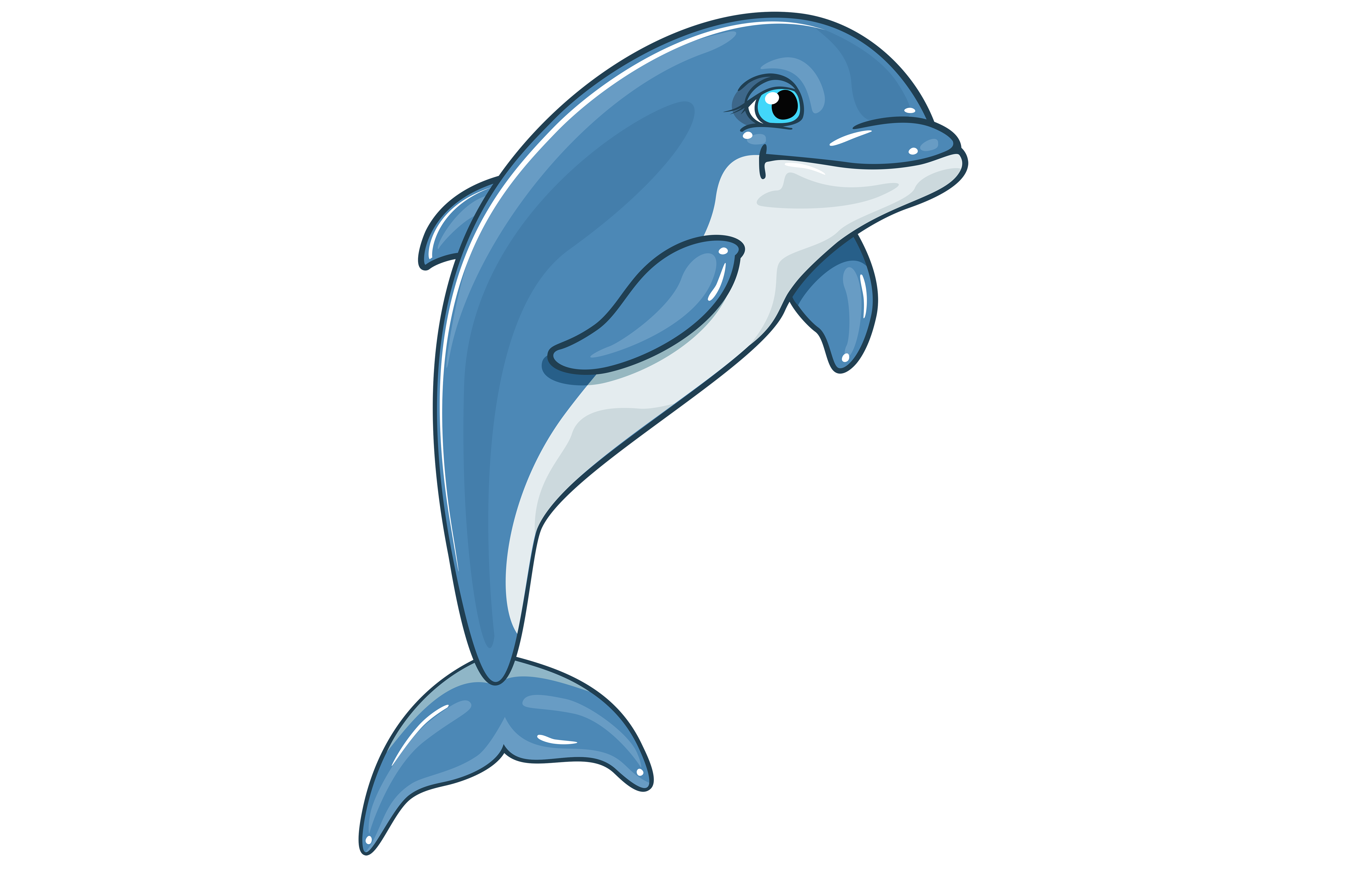 Dolphin Png Clipart