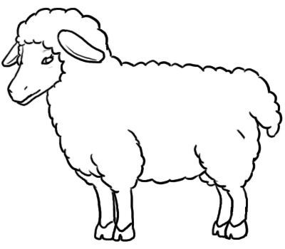 How to Draw Sheep: 9 Steps (with Pictures).