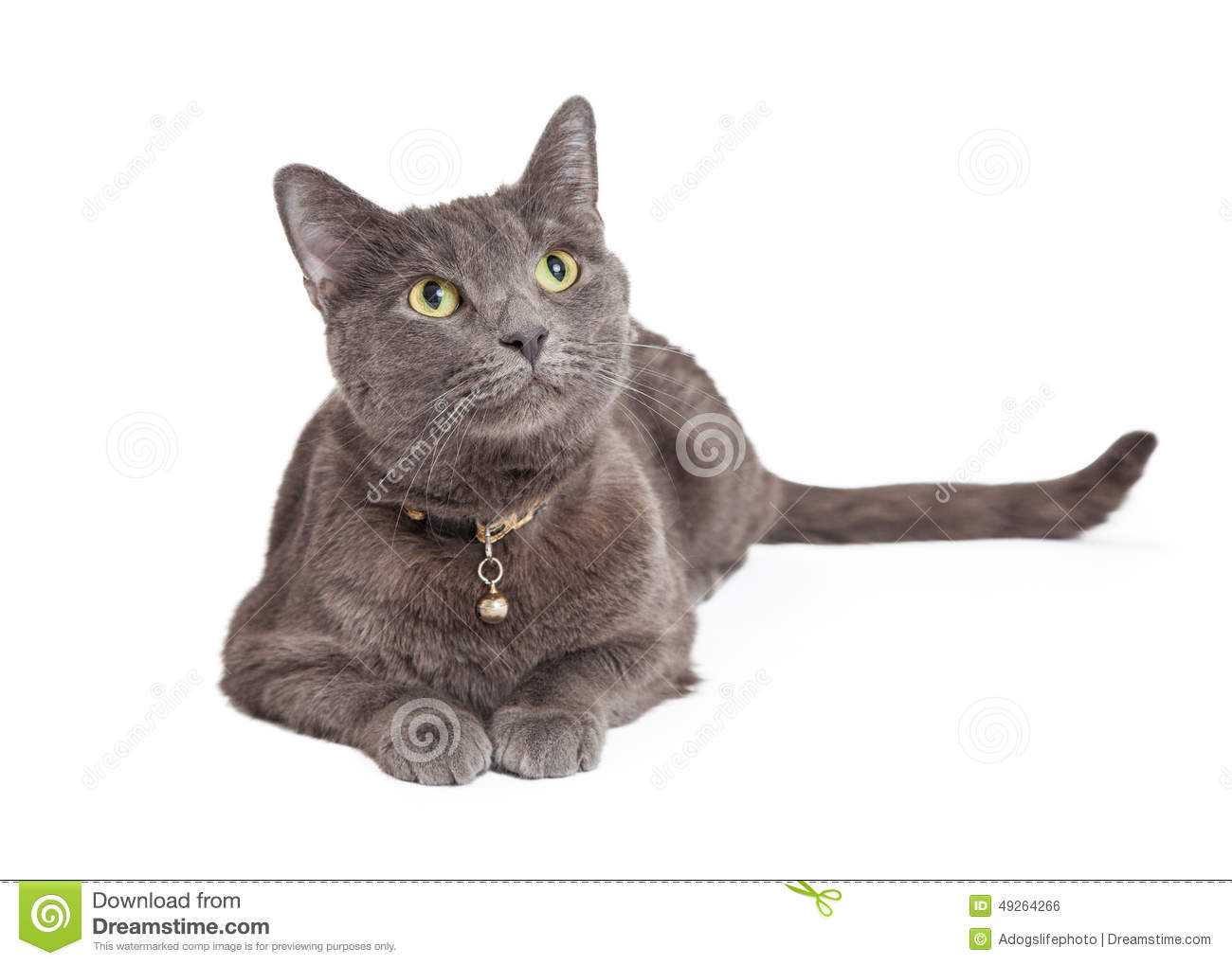 Cartoon Cats Stock Images. Cartoon Cats Stock Images.