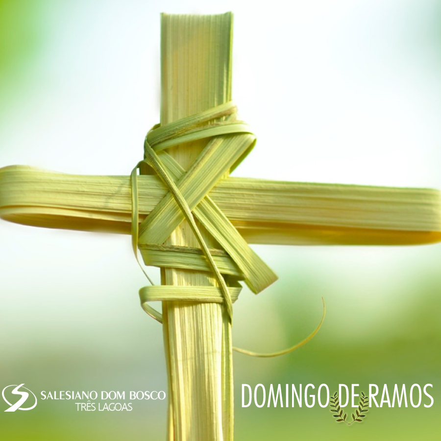 A importância do Domingo de Ramos.