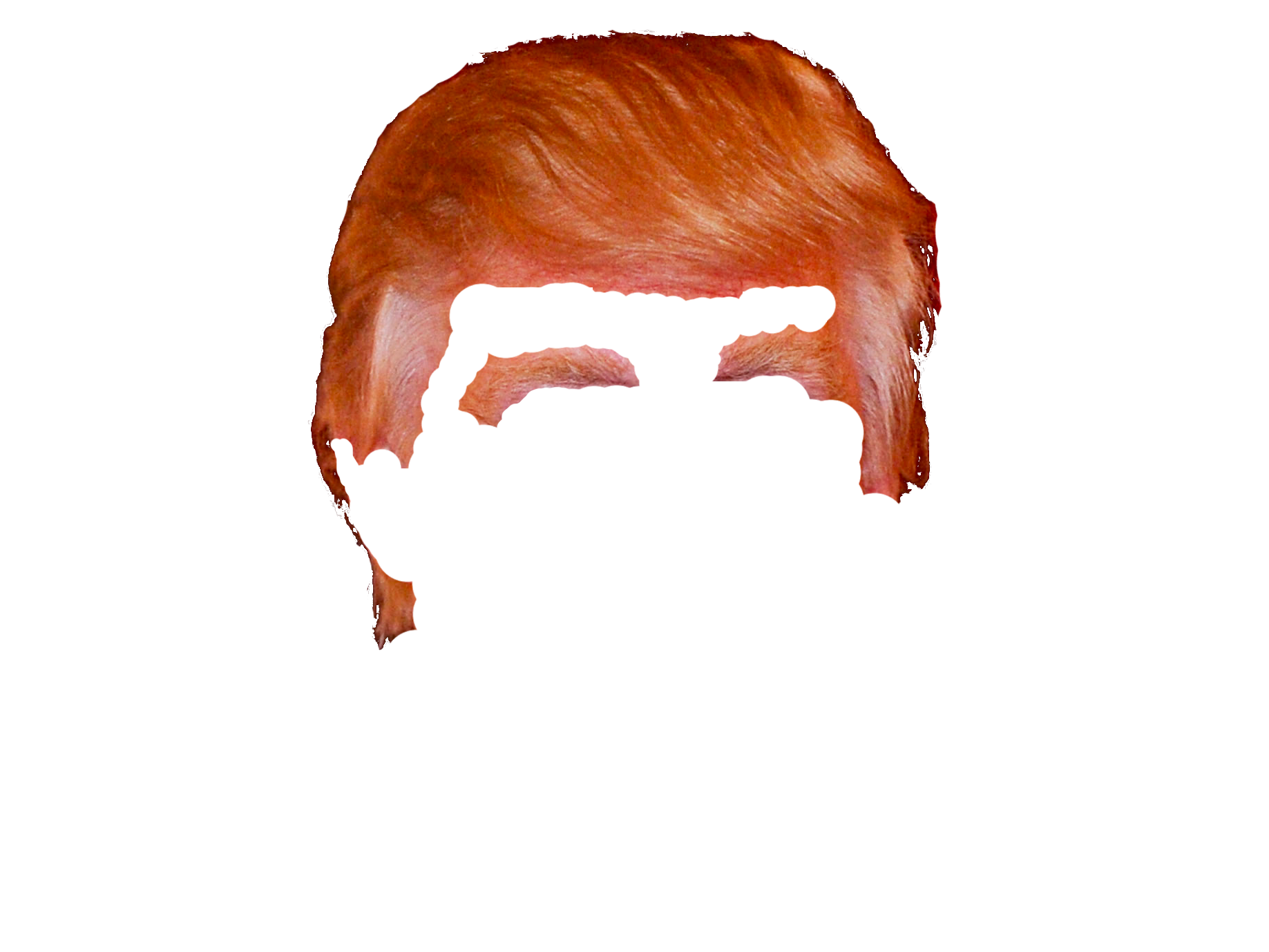Donald Trump Blonde Hair PNG Images - wide 10