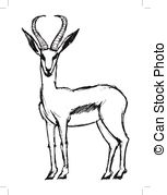 Dorcas gazelle Vector Clip Art Illustrations. 6 Dorcas gazelle.
