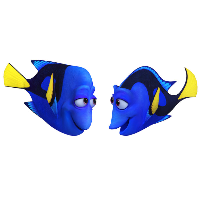 Dory Bang Bang Clipart 20 Free Cliparts Download Images On Clipground