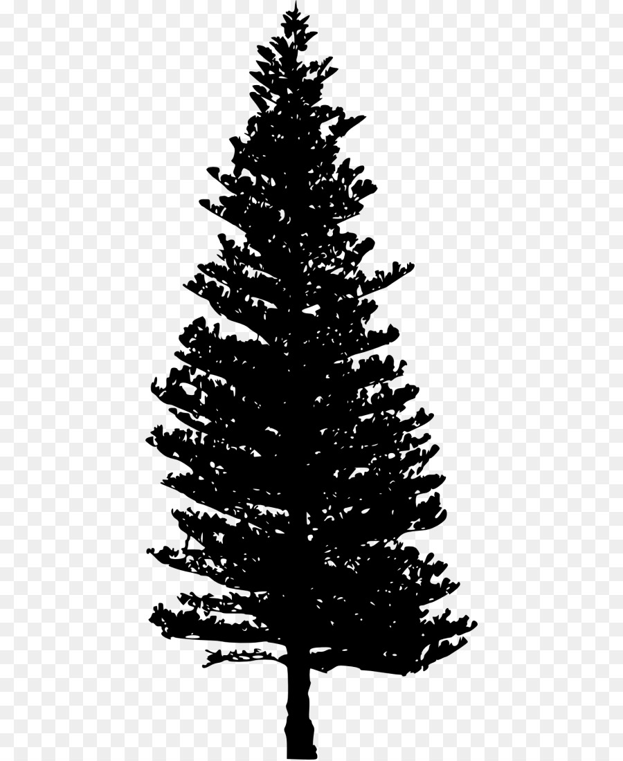 douglas fir tree clip art 20 free Cliparts | Download images on