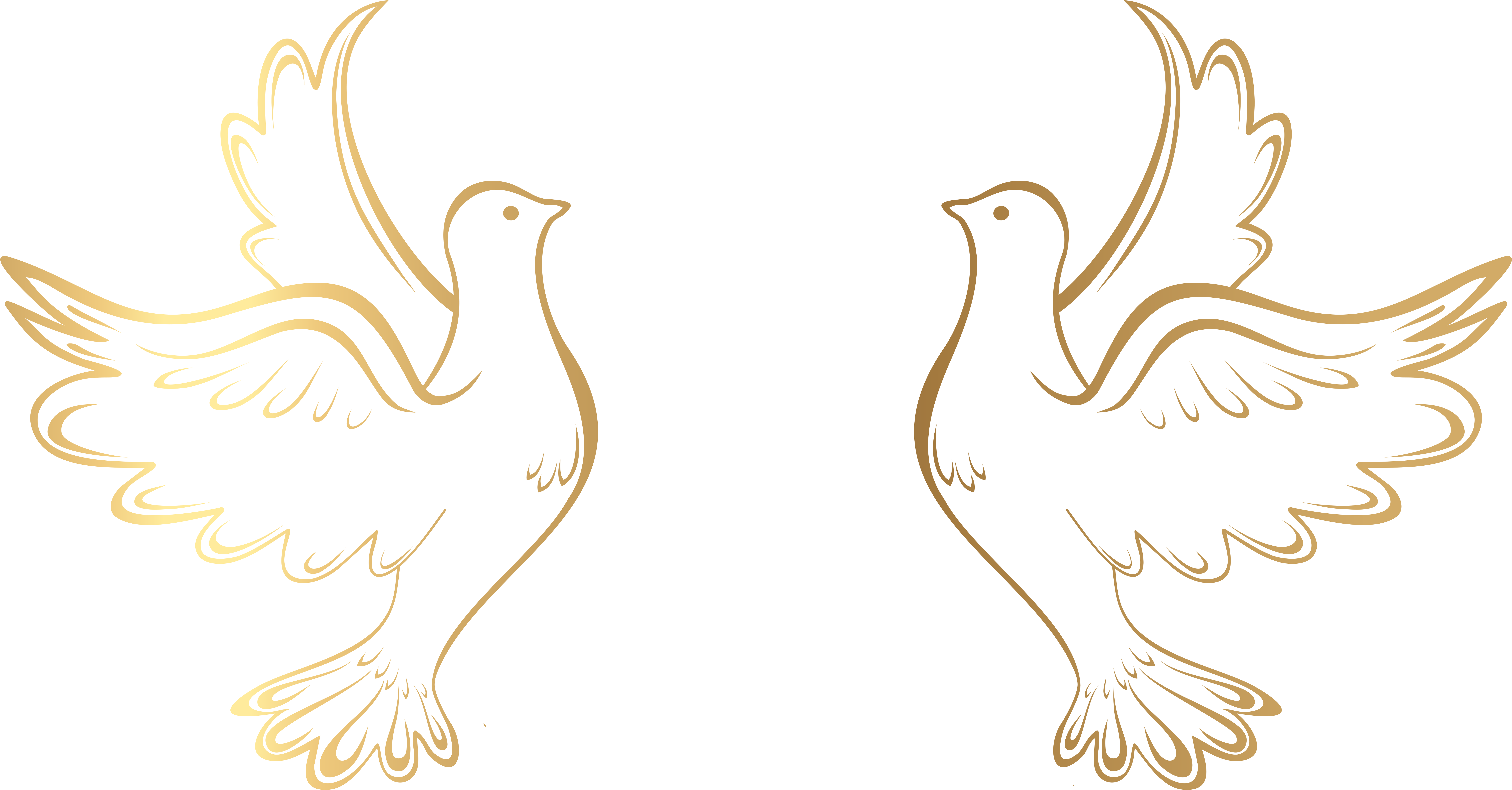 Free Dove Transparent Background, Download Free Clip Art.