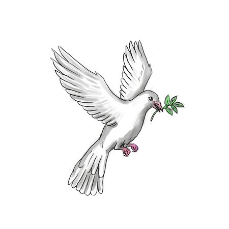 dove with olive branch clip art 20 free Cliparts | Download images on ...