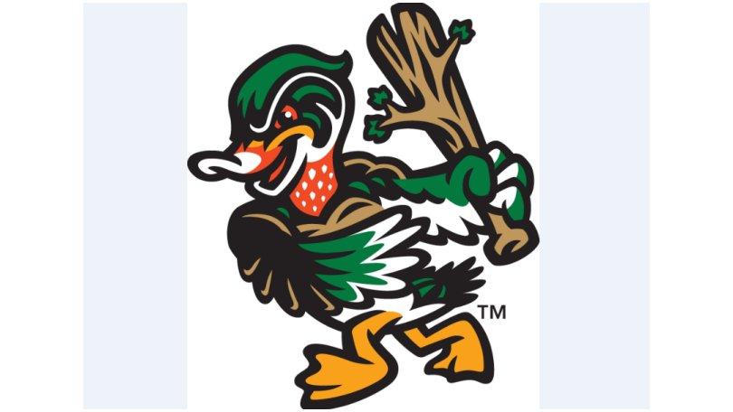 down east wood ducks logo 10 free Cliparts | Download images on ...