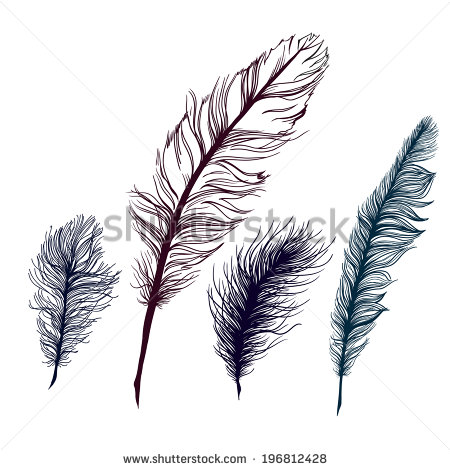 Down Feathers Clipart (38+).