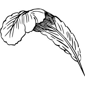 Down feather clipart 20 free Cliparts | Download images on Clipground 2021