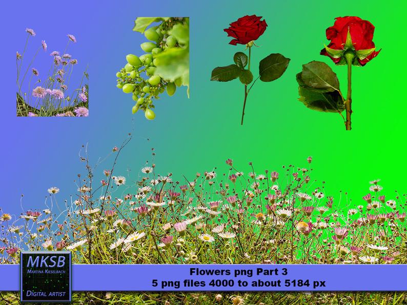 flowers png, Overlays, Photoshop, Digital Downloads, Instant Download, png,  png files, downloads, images, photography, flower, nature.