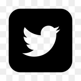 Twitter Logo Png PNG and Twitter Logo Png Transparent.