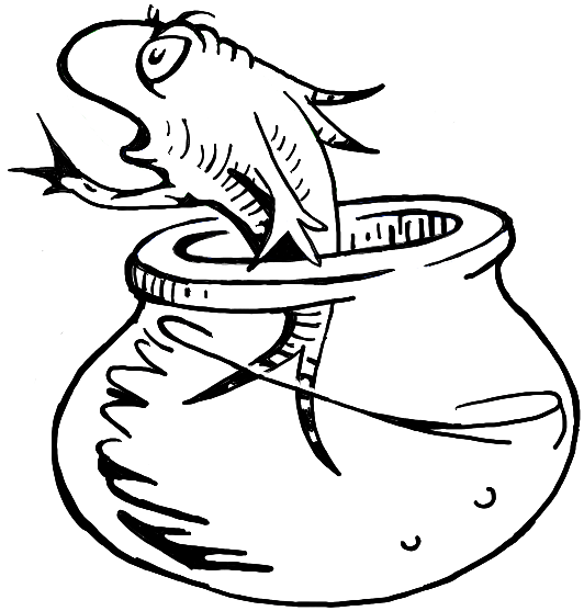 Dr Seuss Fish Bowl Clipart 10 Free Cliparts Download Images On 