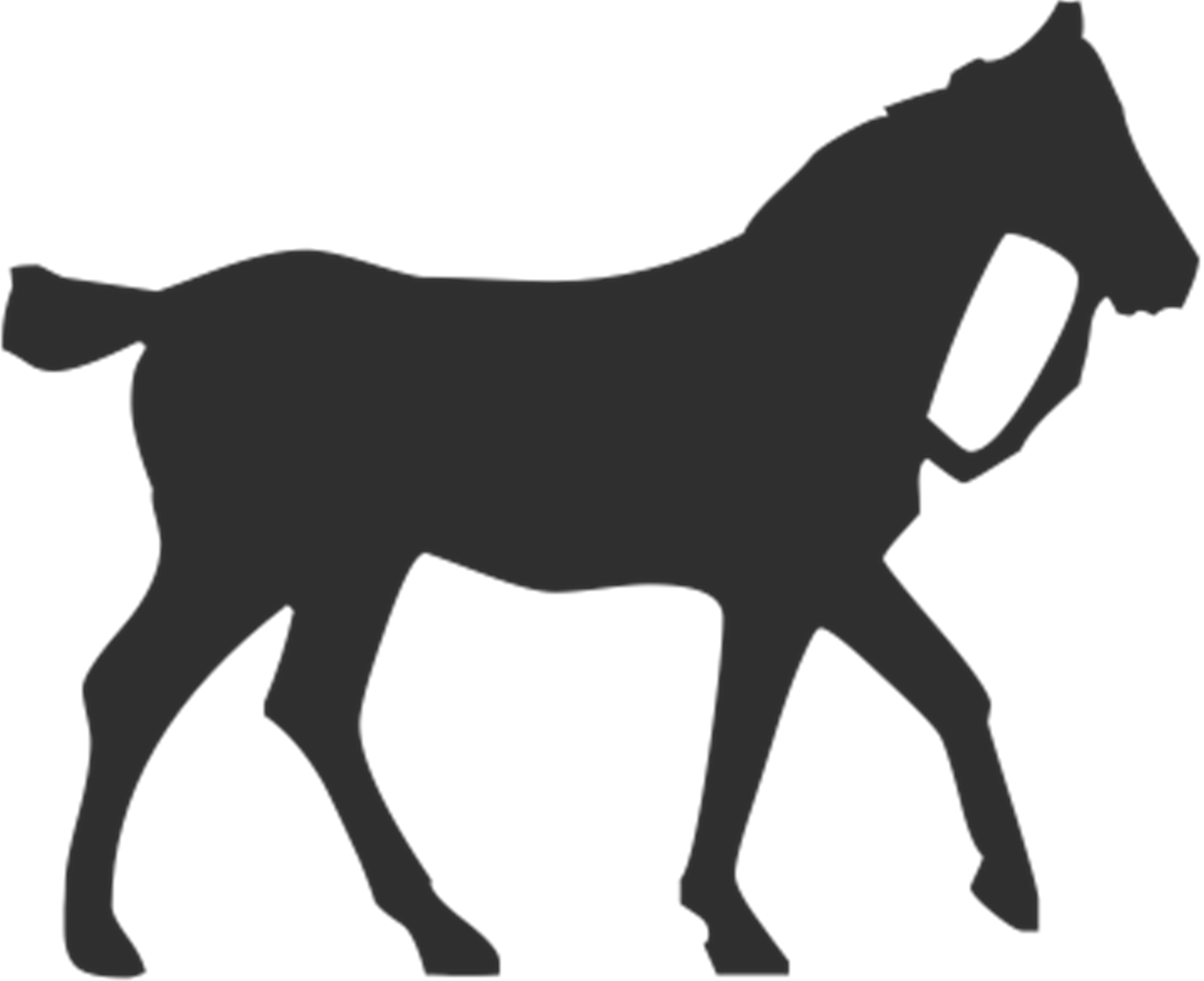 Horse Silhouette Equestrian Pet.