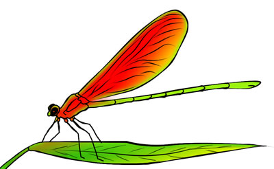 50 FREE Dragonfly Clip Art Drawings and Colorful Images.