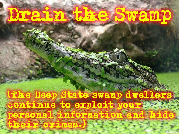 drain-the-swamp-meaning-20-free-cliparts-download-images-on