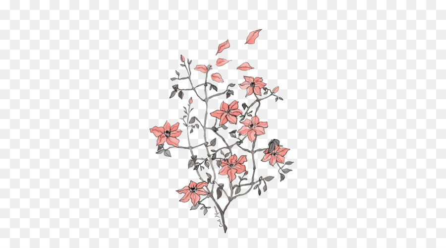 Cherry Blossom Tree Drawing png download.