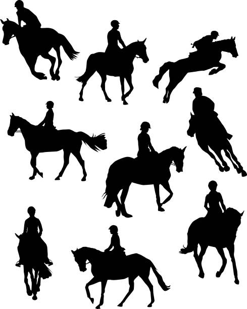 Best Dressage Horse Illustrations, Royalty.