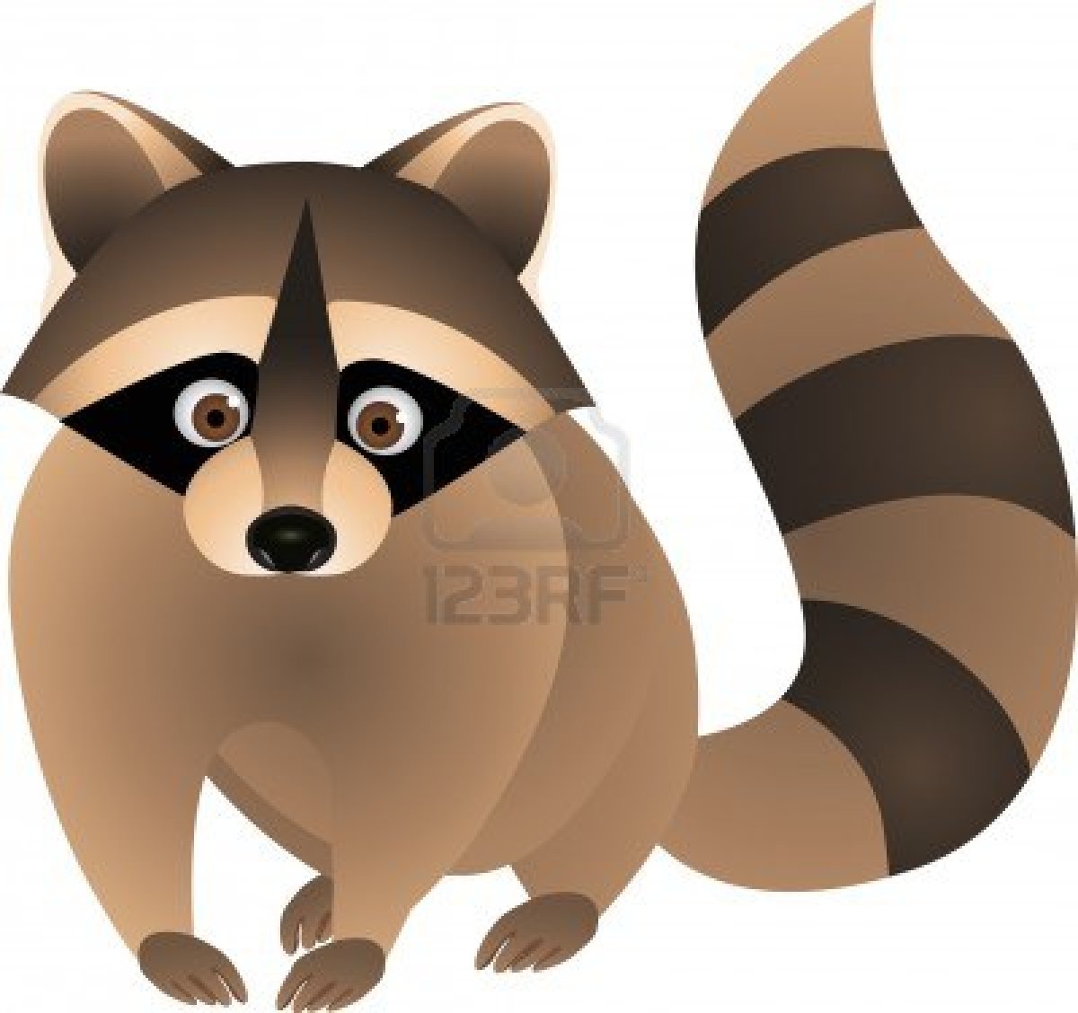 Raccoon Cartoon Stock Photo.