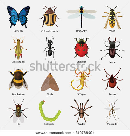 Drop Pink Mosquito Wasp Clipart 20 Free Cliparts 