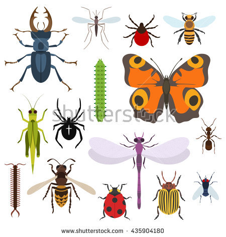 Drop pink mosquito wasp clipart 20 free Cliparts | Download images on ...