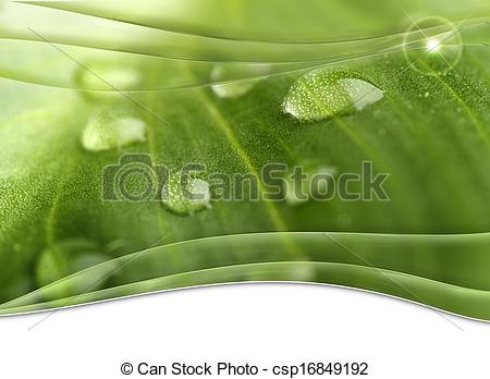 Stock Illustration of foliage poster with droplets of dew and.