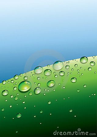 Dew drop clipart.