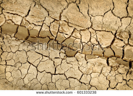 Land Dry Cracked Ground Texture Desert Stock Photo 320699195.