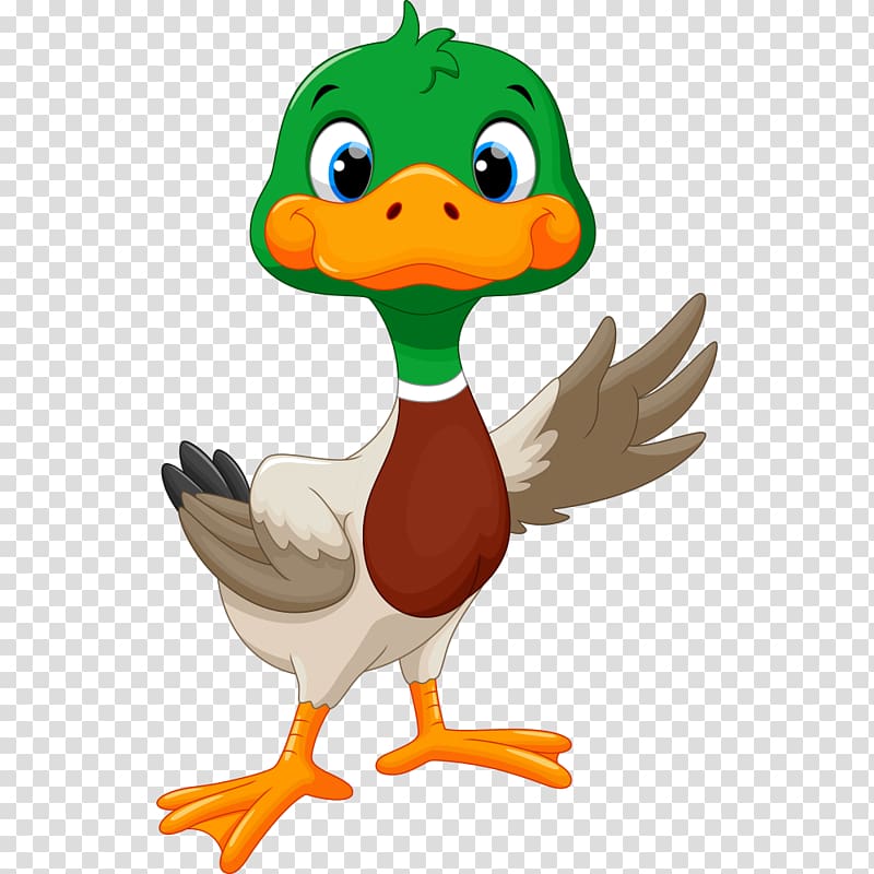 Duckling raising it\'s left wing illustration, Duck Goose.