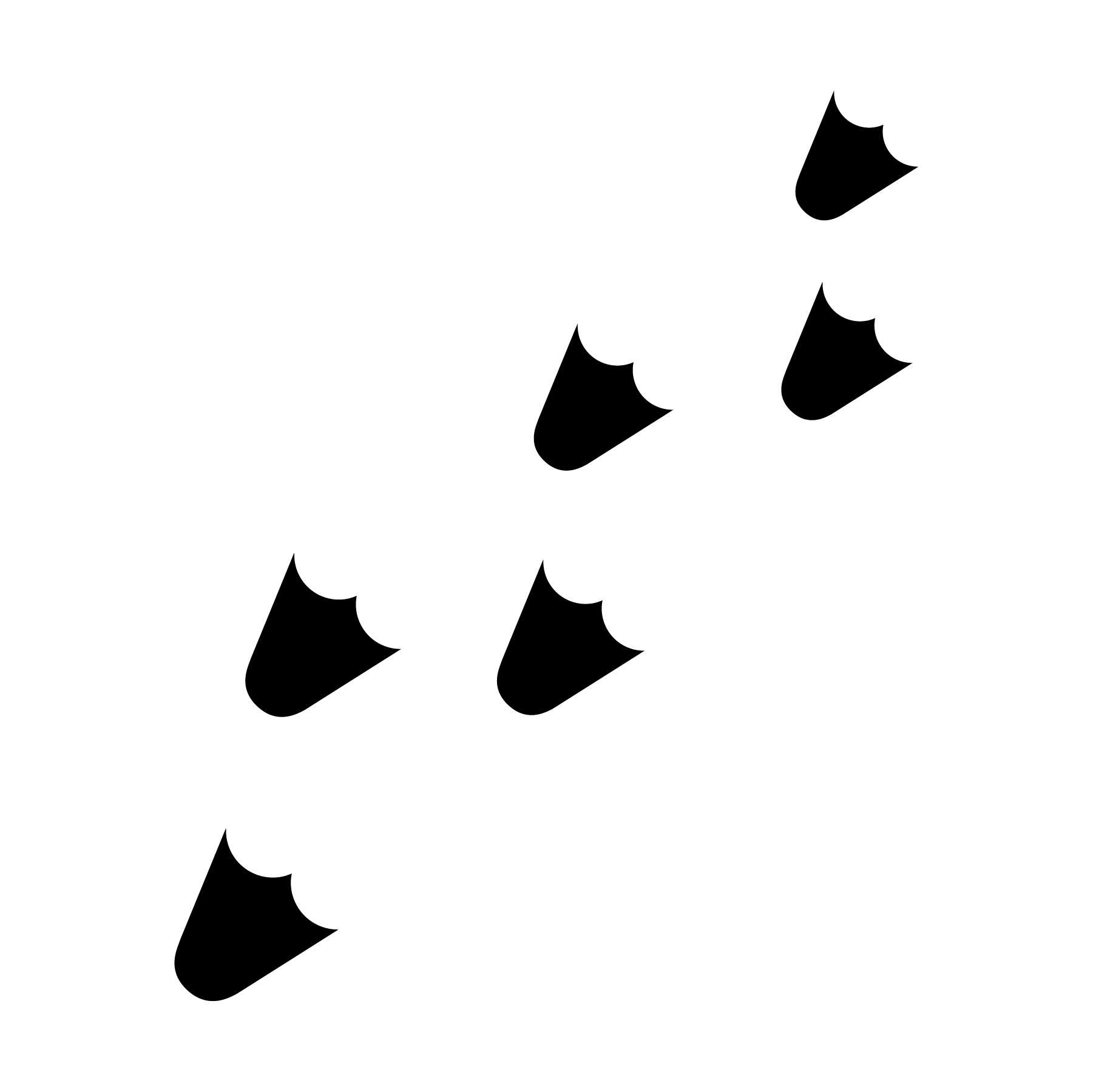 Duck footprint icons. #jessicabarrondesigns #design.