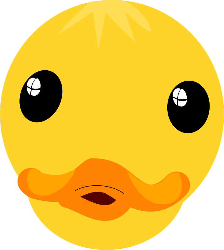 Duck clipart face.