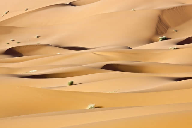 Desert Sand Clipart.