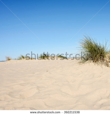 Beach Dunes Stock Images, Royalty.