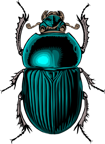 Beetle Clipart.