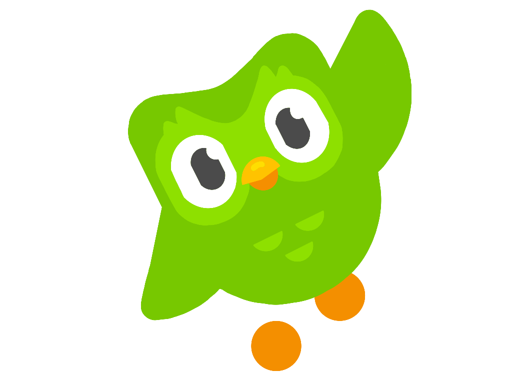 Owl duolingo falospot