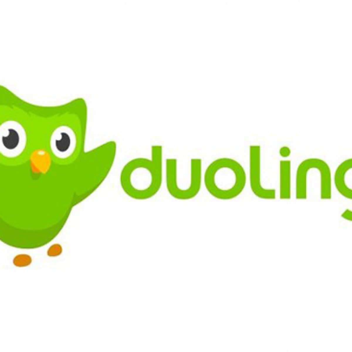 duolingo logo clipart 10 free Cliparts | Download images on Clipground 2024