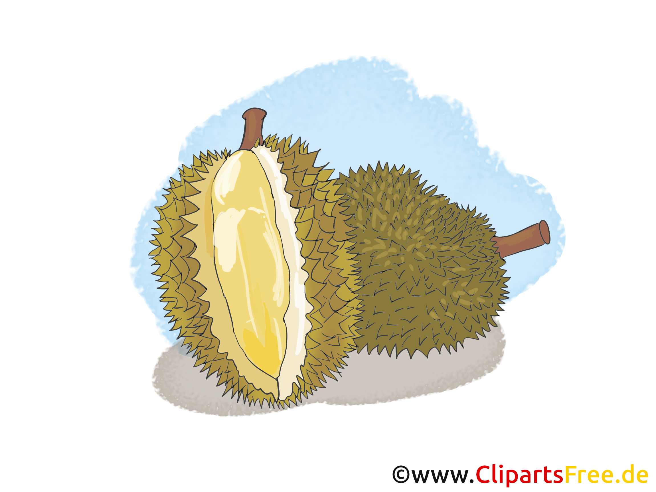 Durian Cartoon Clipart.