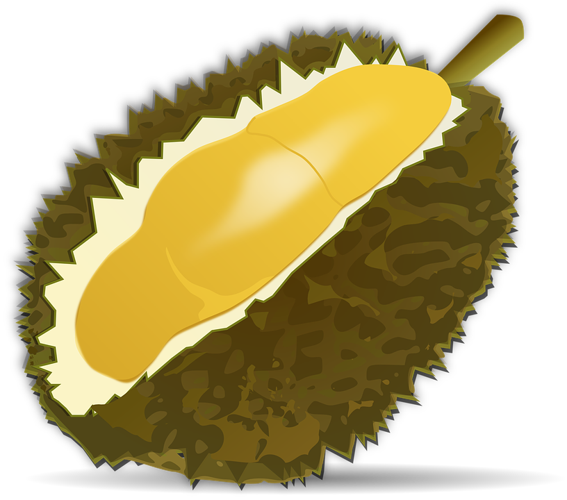 Free vector graphic: Durian Fruit, Fruit, Food, Durio.