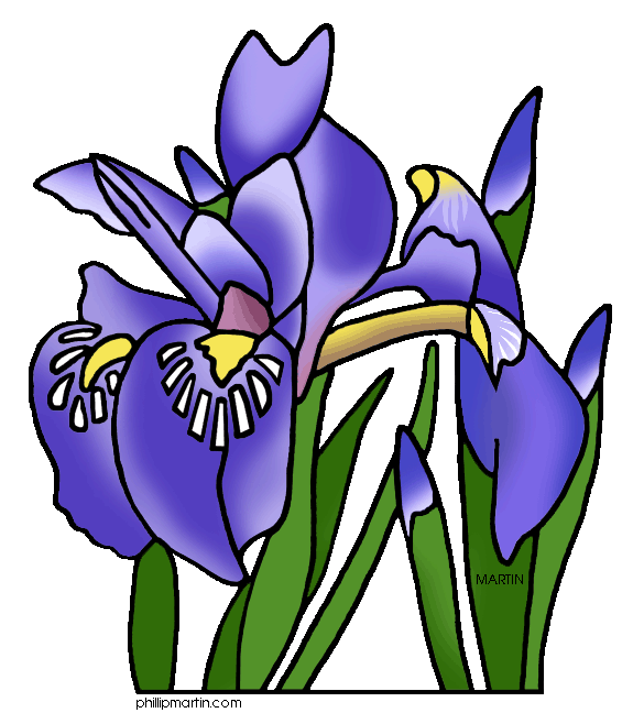 Free iris clip art.