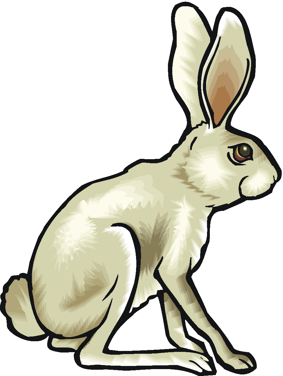 Rabbit Clipart.