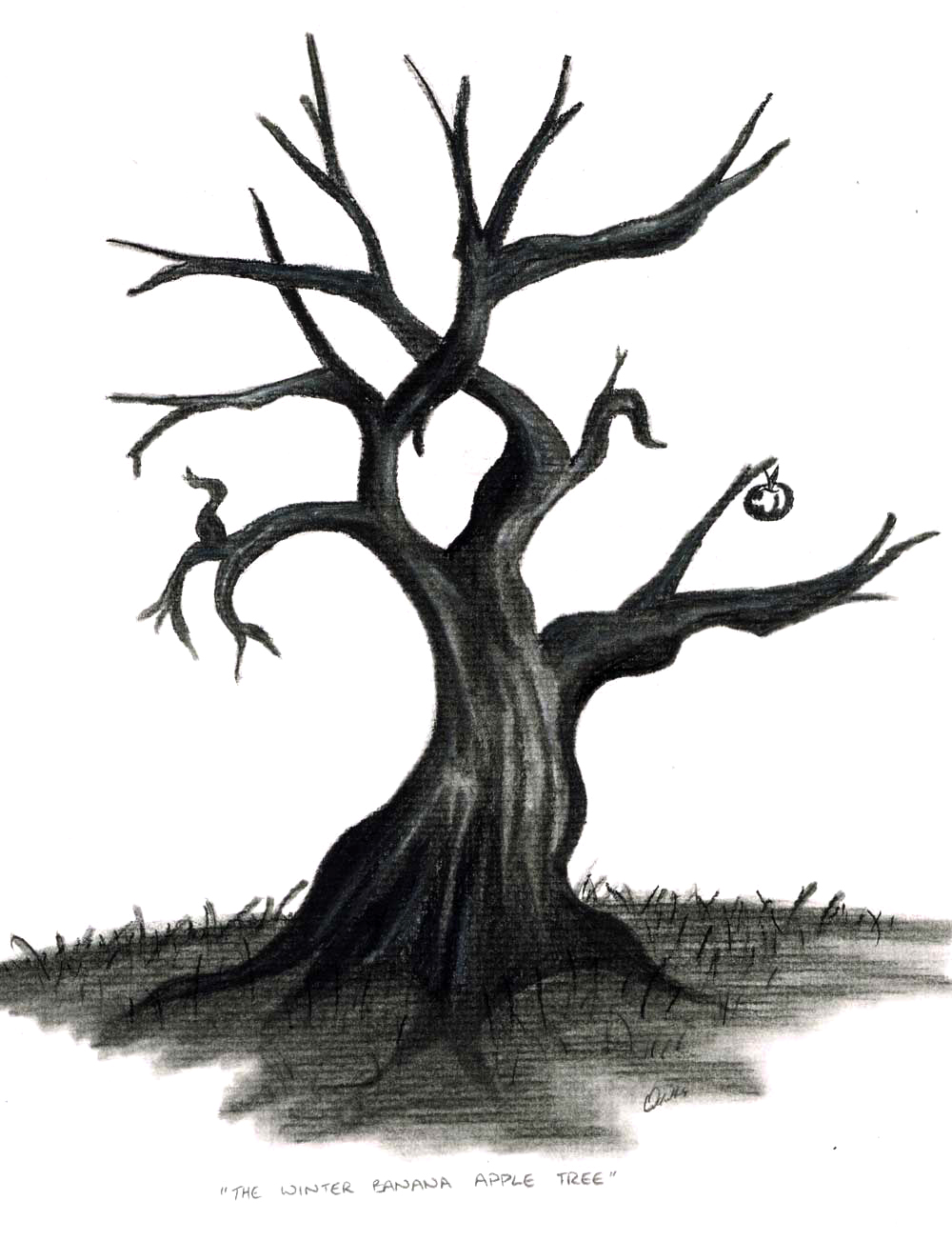 Трухлявое дерево рисунок