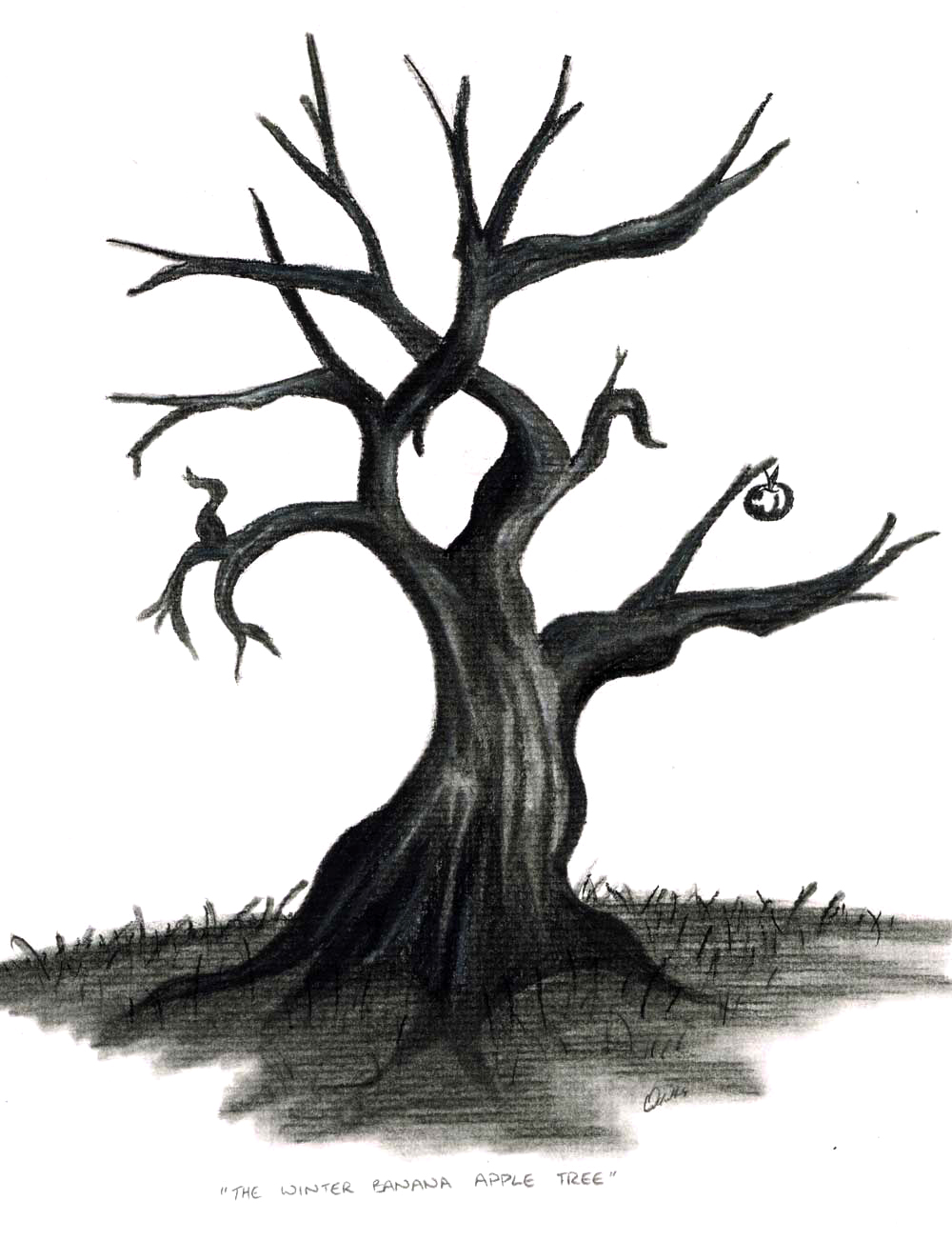 Dying tree clipart 20 free Cliparts Download images on Clipground 2023