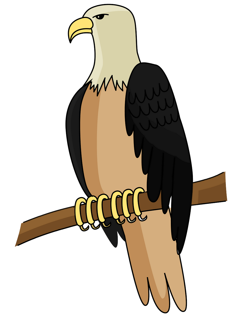 Bald Eagle clipart. Free download..