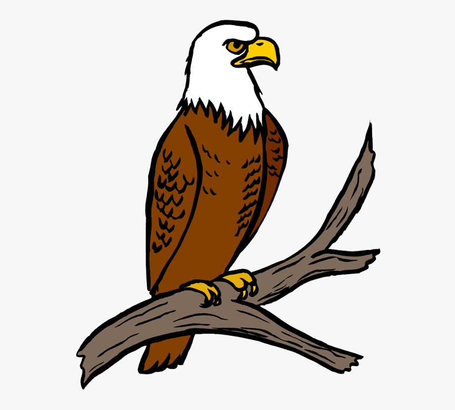 Free Eagle Clipart Eagle Feather Clipart At Getdrawings.