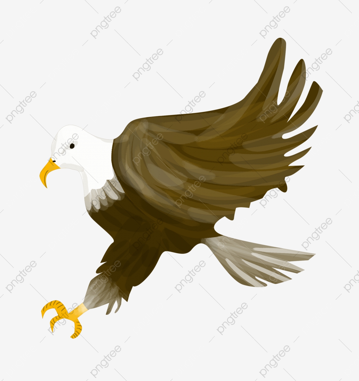 Eagle Head Logo, Eagle Clipart, Head Clipart, Logo Clipart PNG.