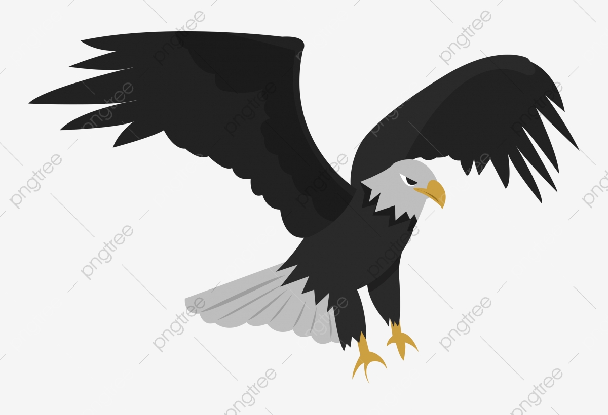 Eagle, Eagle Clipart, Eagle Material PNG Transparent Clipart Image.
