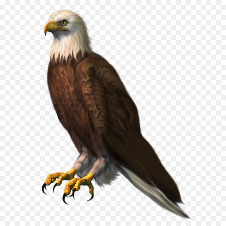 Download Free png Bald Eagle Clip art Eagle Transparent PNG Clipart.