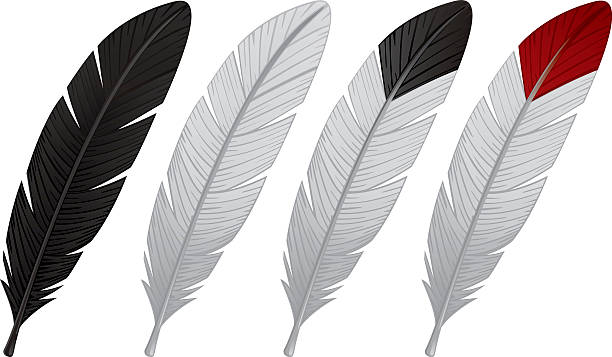 eagle feather clip art 18 free Cliparts | Download images on Clipground
