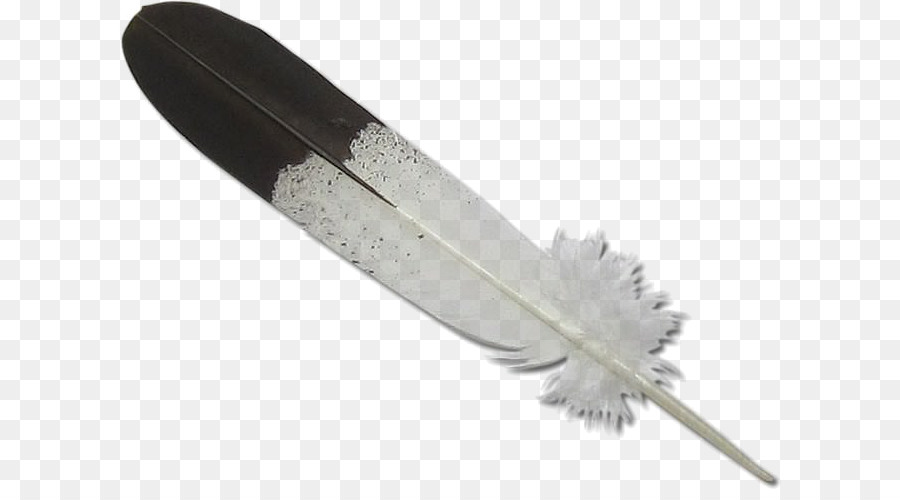 eagle feather clip art free 19 free Cliparts | Download images on