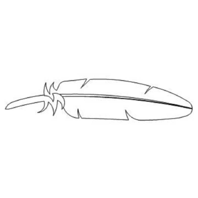 eagle feather clipart 14 free Cliparts | Download images on Clipground 2022